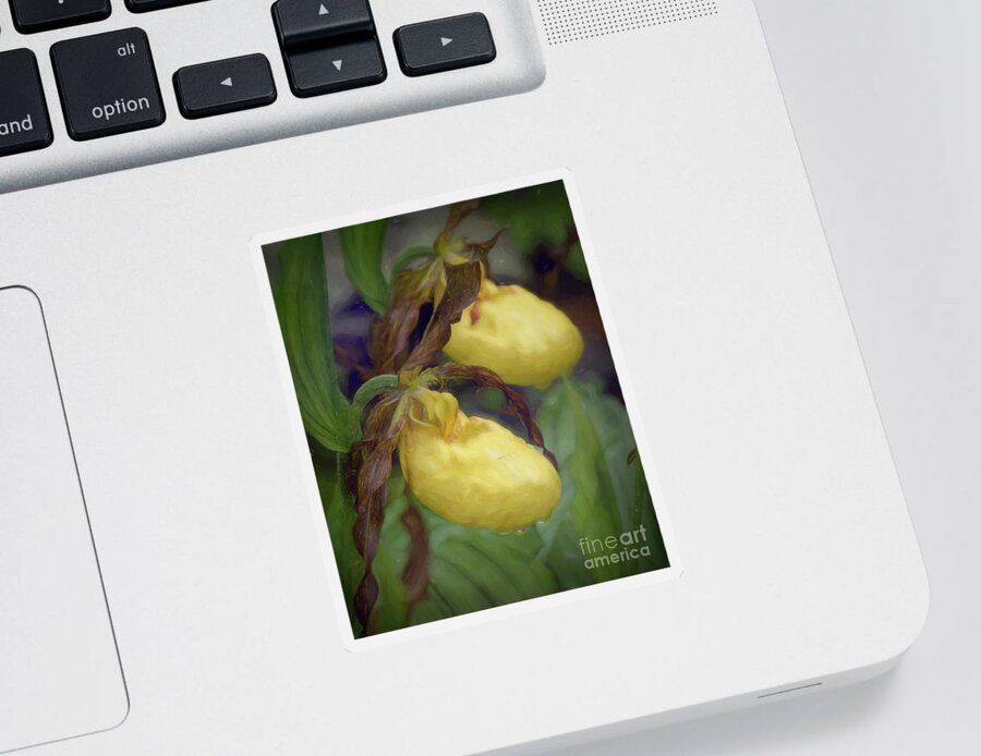 Lady Slipper Sticker featuring the photograph Yellow Lady Slippers by Lorraine Cosgrove