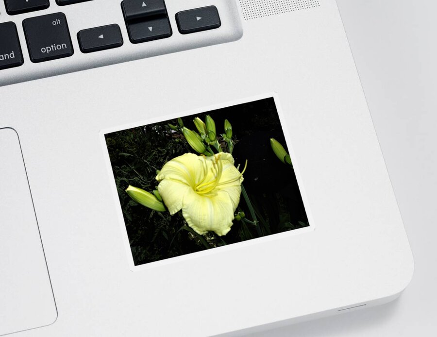 Lily Sticker featuring the photograph Yellow Lily by Nancy Ayanna Wyatt