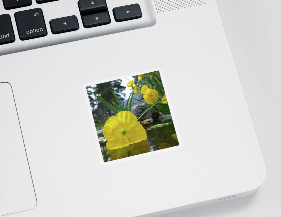 Yellow Sticker featuring the photograph Yellow poppy in a pool by Lisa Mutch