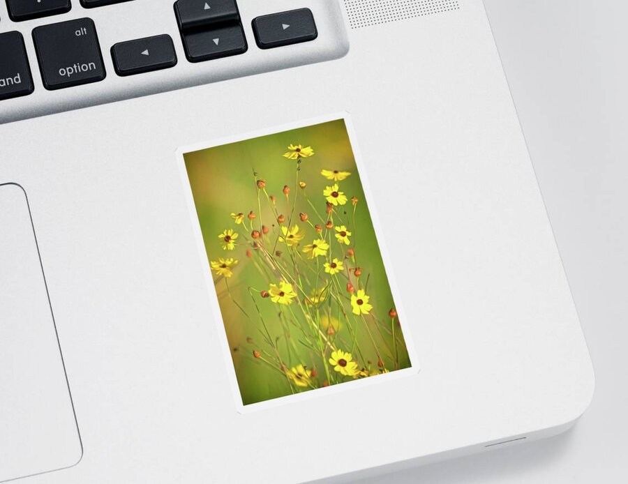 Flower Sticker featuring the photograph Yellow Wild Flowers by Steve DaPonte