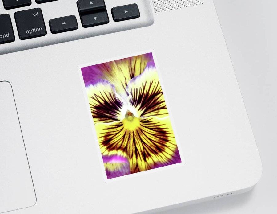 Floral Sticker featuring the photograph You Pansy by Lens Art Photography By Larry Trager