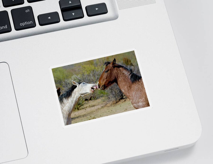 Salt River Wild Horses Sticker featuring the digital art Youre Makin Me Crazy by Tammy Keyes