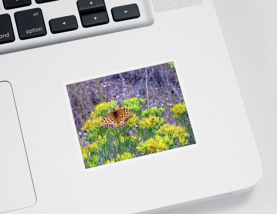 Butterfly Sticker featuring the photograph Zerene Fritillary by Katie Keenan