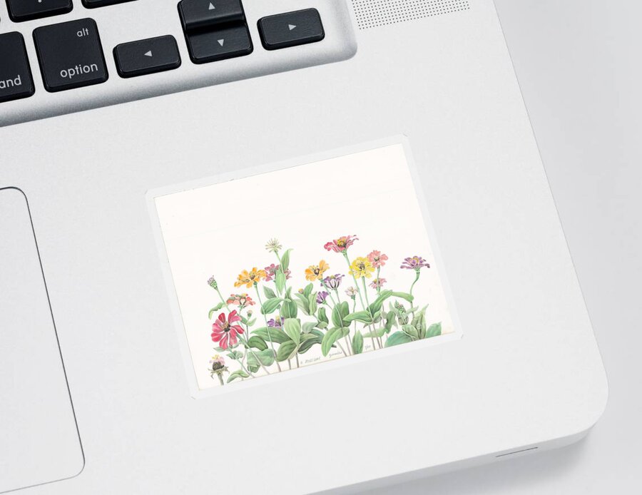 Flowers Sticker featuring the painting Zinnias by Albert Massimi