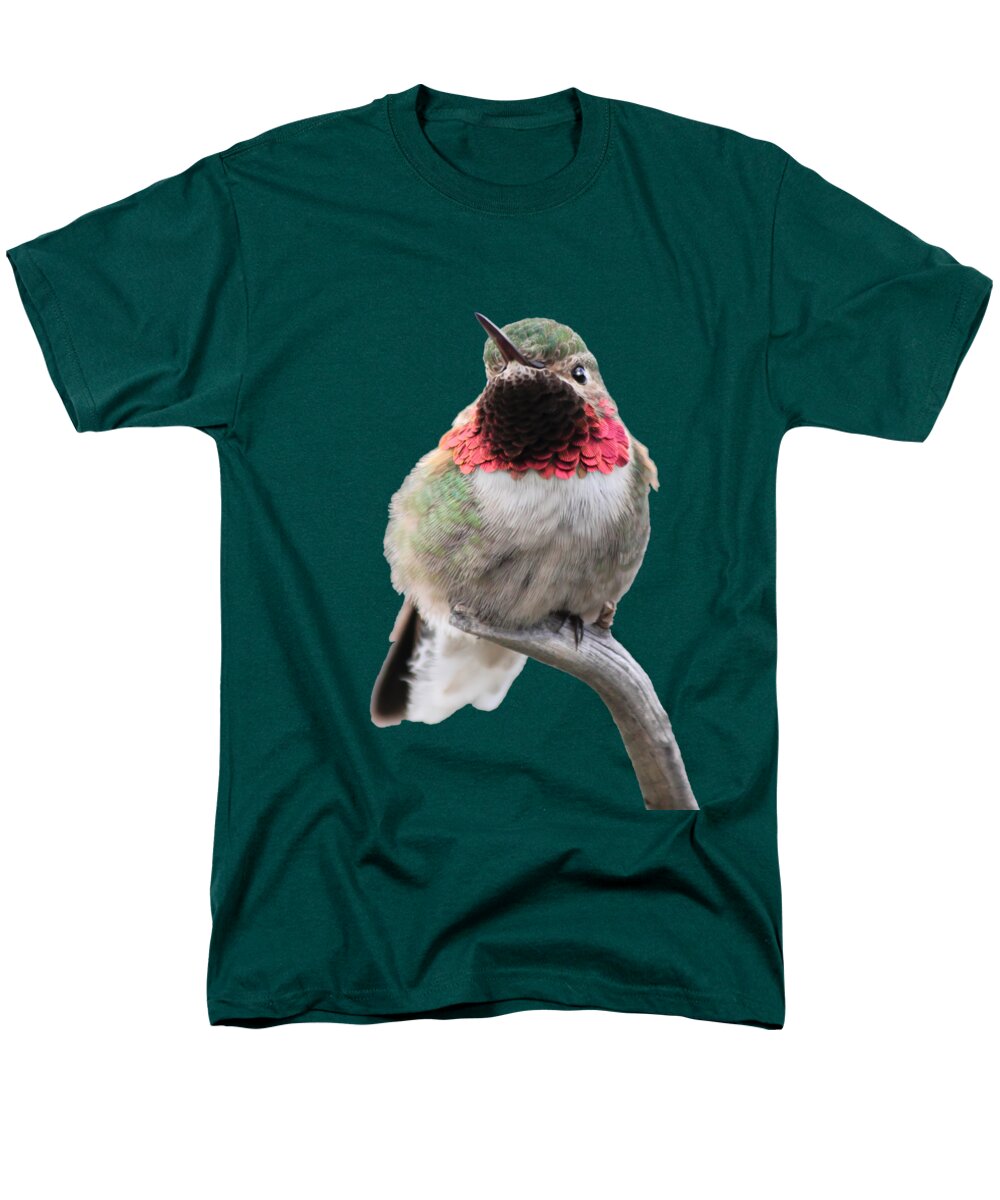 Hummingbird Men's T-Shirt (Regular Fit) featuring the photograph Broad-Tailed Hummingbird #2 by Shane Bechler