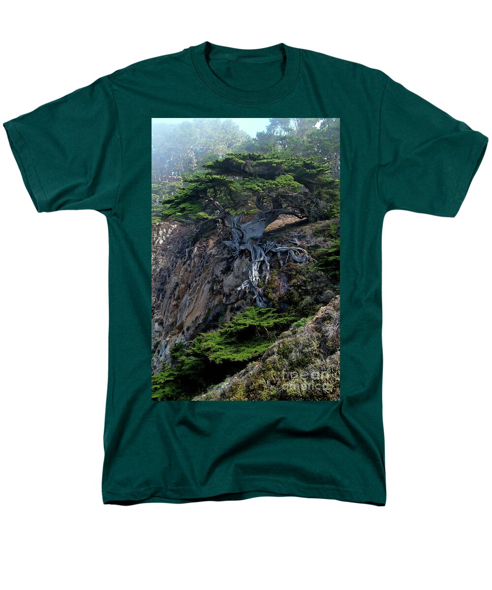 Landscape Men's T-Shirt (Regular Fit) featuring the photograph Point Lobos Veteran Cypress Tree by Charlene Mitchell