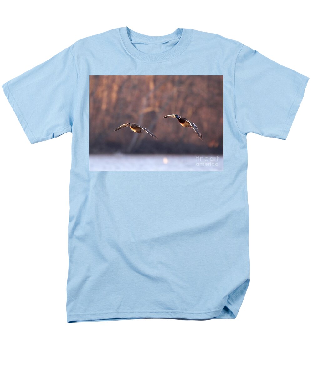 Ducks Men's T-Shirt (Regular Fit) featuring the photograph Mallards by Robert Pearson