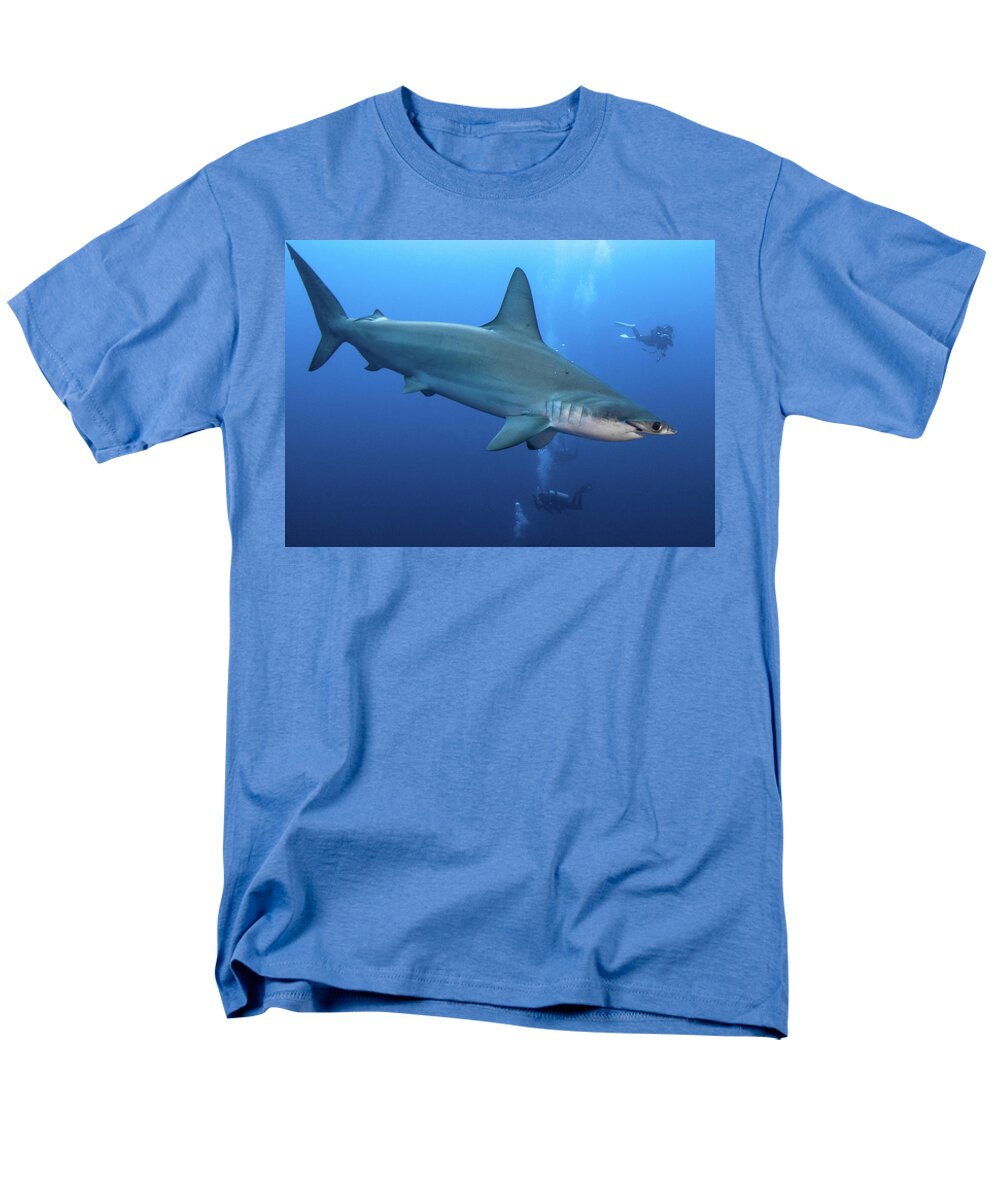 Hammerhead shark of Mikomoto, side view T-Shirt by Same To Hoshi - Fine Art  America