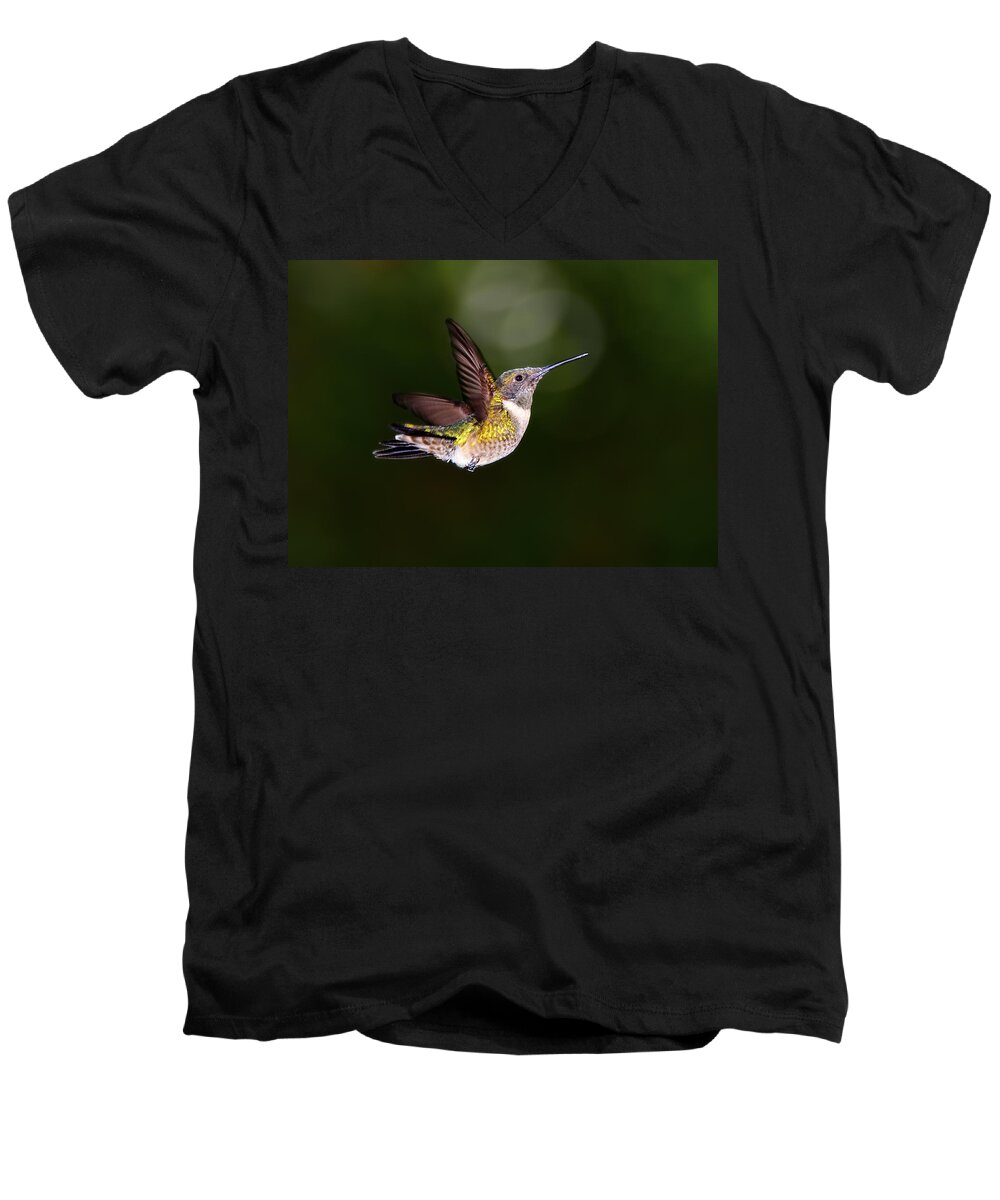 Dodsworth Men's V-Neck T-Shirt featuring the photograph Flight of a Hummingbird #1 by Bill Dodsworth