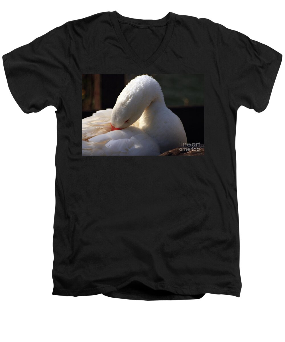 St James Lake Men's V-Neck T-Shirt featuring the photograph Preening Goose by Jeremy Hayden