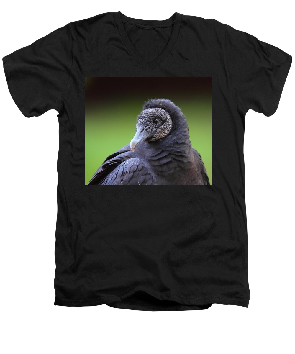 Vulture Men's V-Neck T-Shirt featuring the photograph Black Vulture Portrait #2 by Bruce J Robinson