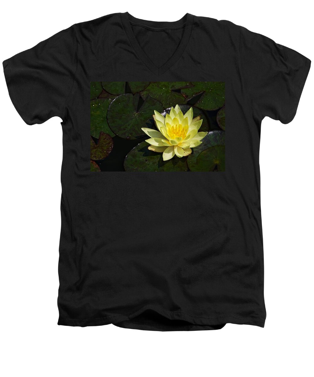 Water Lily Men's V-Neck T-Shirt featuring the photograph Soaking up the Sun #2 by Dave Files