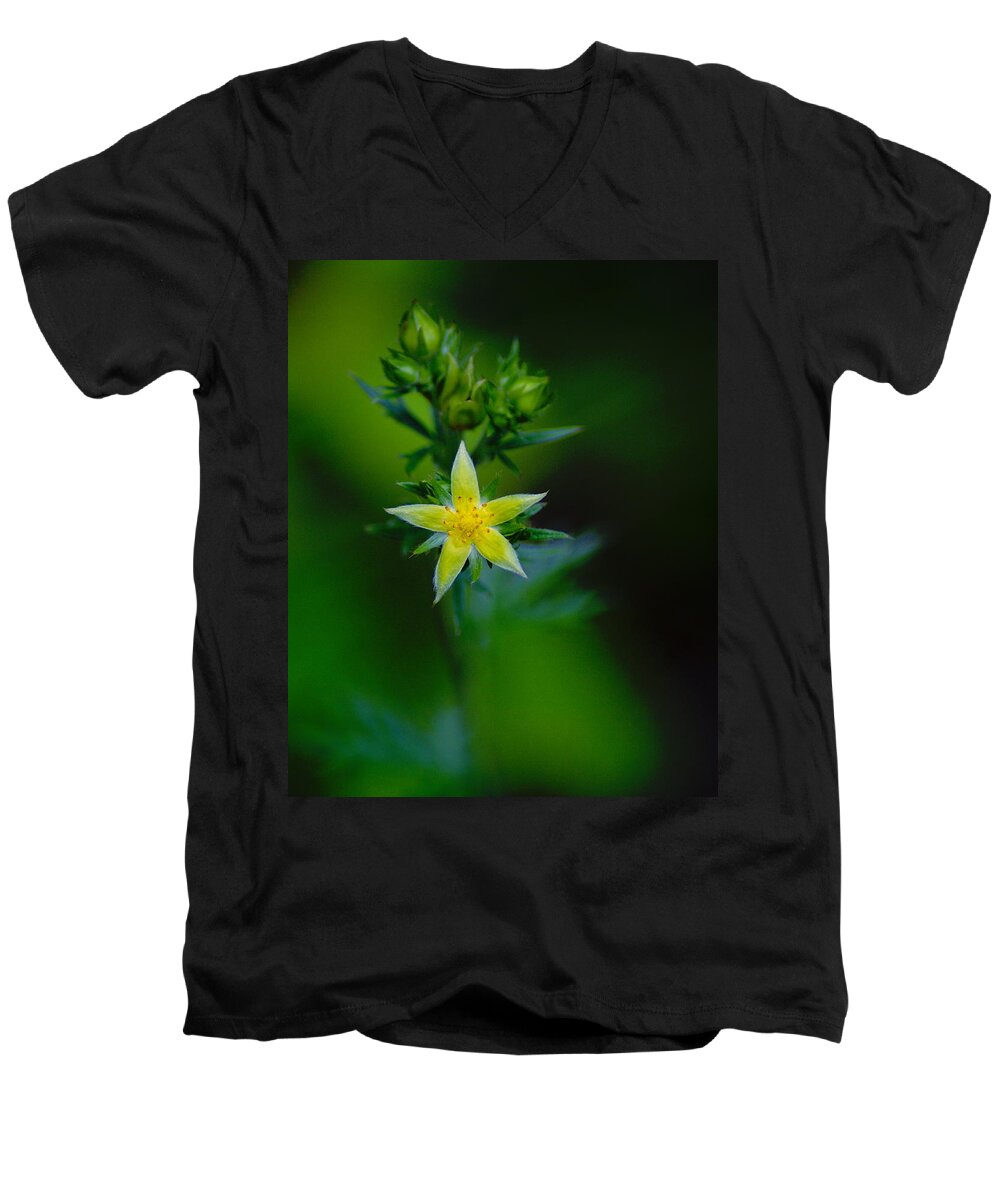 Flowers Men's V-Neck T-Shirt featuring the photograph StarFlower #2 by Ben Upham III