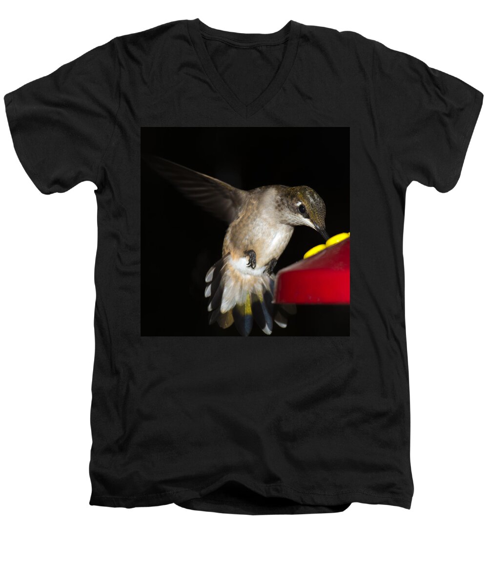 Ruby-throated Hummingbird Men's V-Neck T-Shirt featuring the photograph Ruby Throated Hummingbird #4 by Robert L Jackson