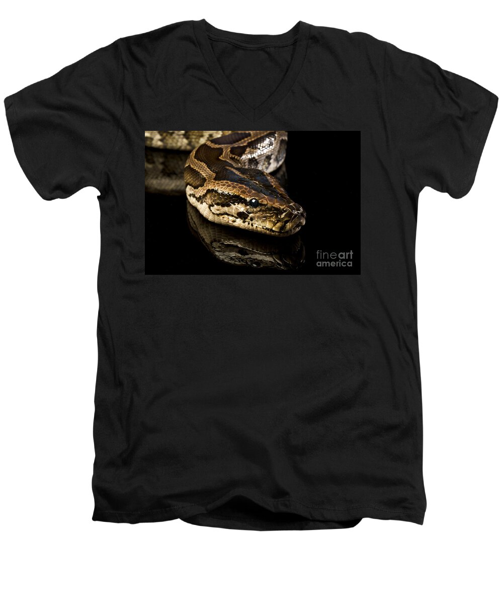 Snake Men's V-Neck T-Shirt featuring the photograph Snake #5 by Gunnar Orn Arnason