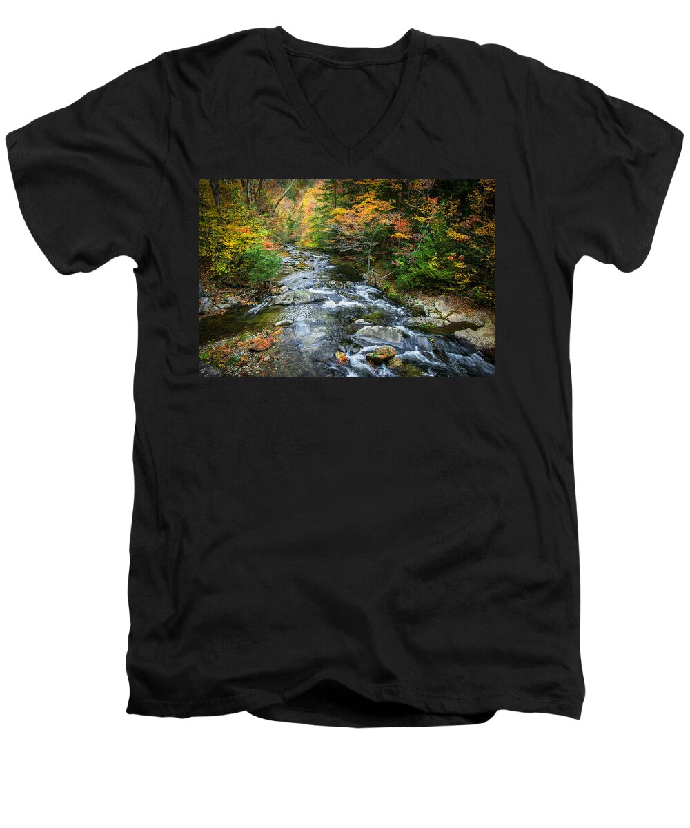 Stream Men's V-Neck T-Shirt featuring the photograph Stream Great Smoky Mountains Painted #4 by Rich Franco