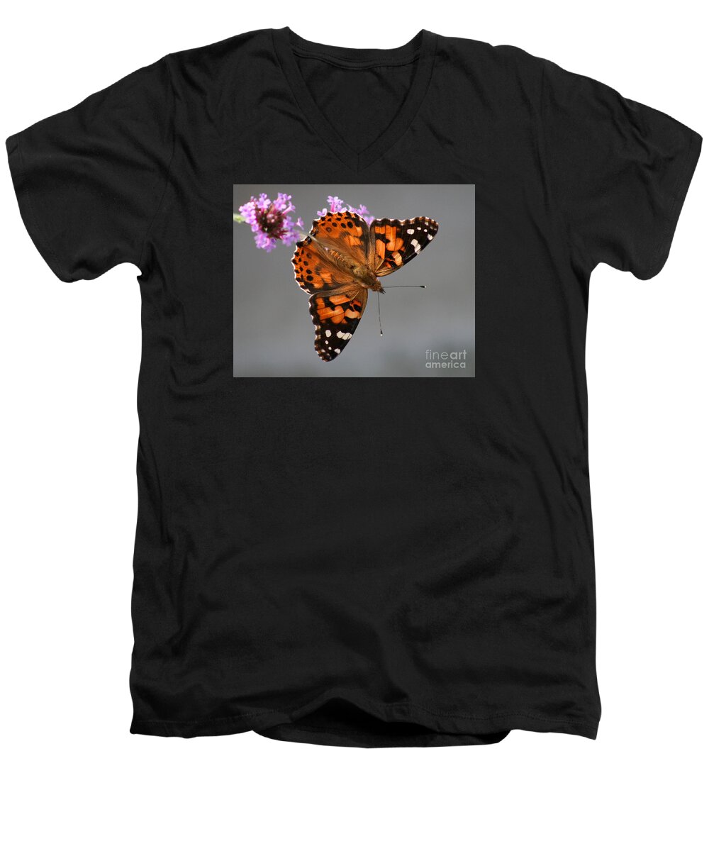 Painted Lady Butterfly Men's V-Neck T-Shirt featuring the photograph American Painted Lady Butterfly #1 by Karen Adams