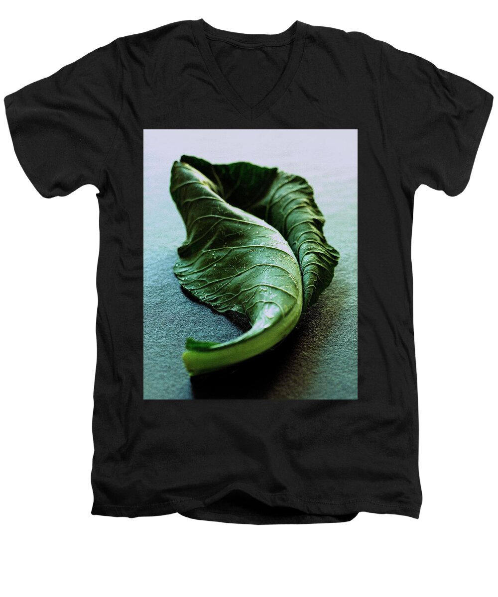 Nobody Men's V-Neck T-Shirt featuring the photograph A Collard Leaf by Romulo Yanes