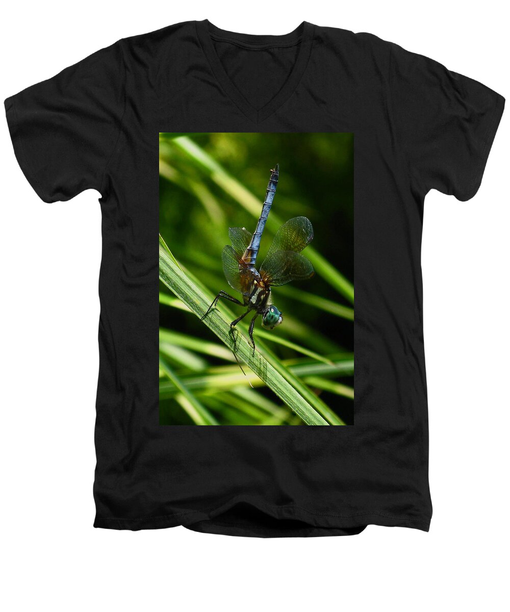 A Dragonfly Men's V-Neck T-Shirt featuring the photograph A Dragonfly by Raymond Salani III