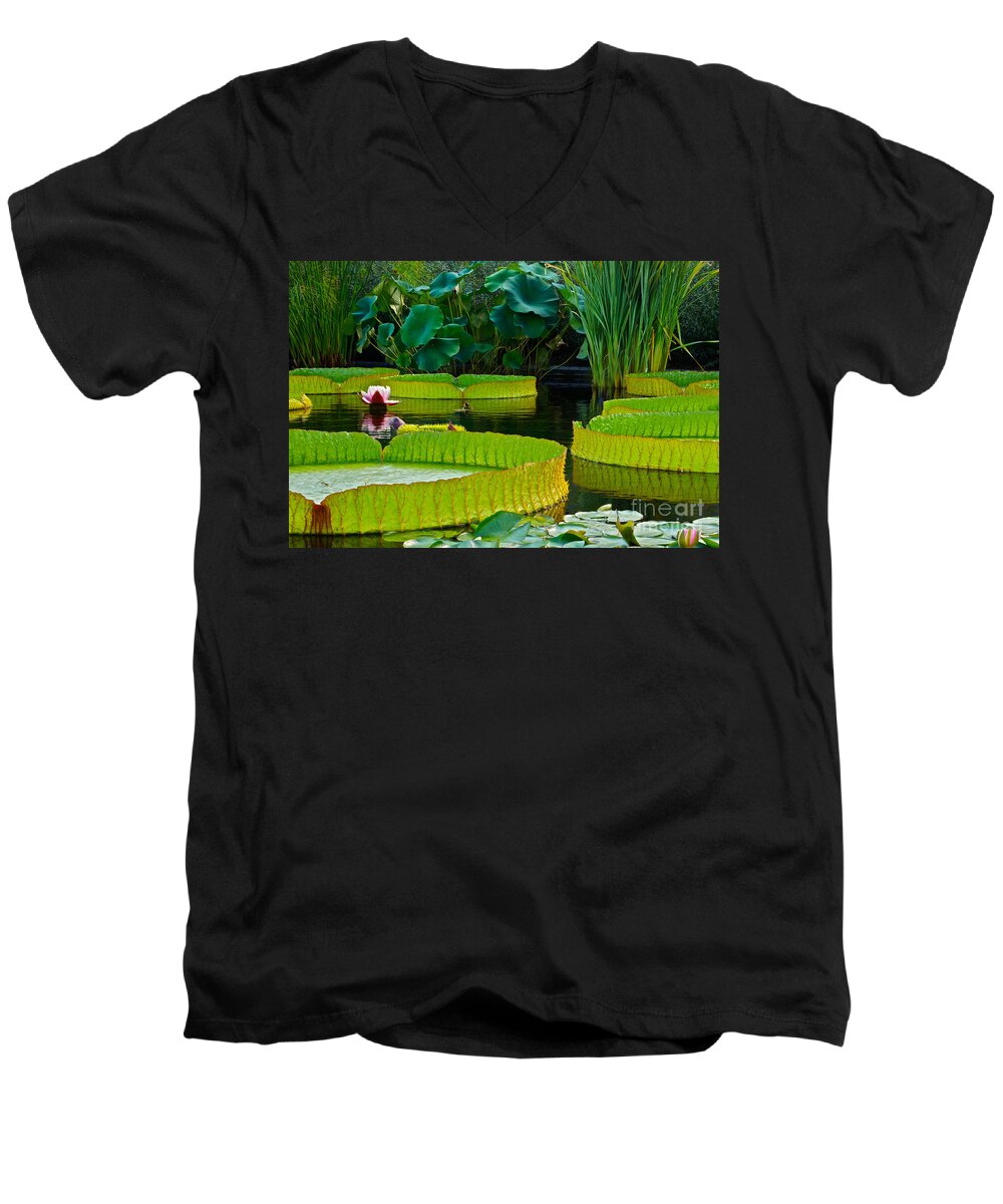 Victoria Cruziana Men's V-Neck T-Shirt featuring the photograph A Garden In Gentle Waters by Byron Varvarigos