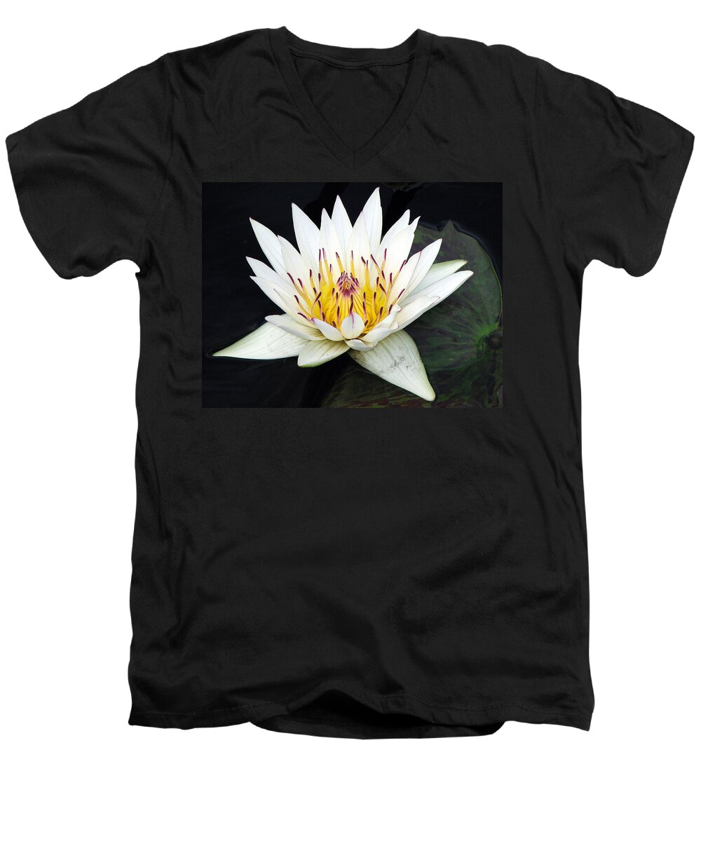Water Lily Men's V-Neck T-Shirt featuring the photograph Botanical Beauty by Rick Locke - Out of the Corner of My Eye