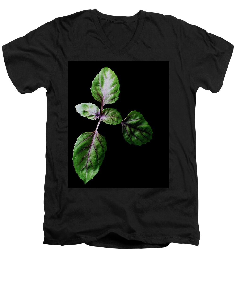 Herbs Men's V-Neck T-Shirt featuring the photograph A Sprig Of Basil by Romulo Yanes