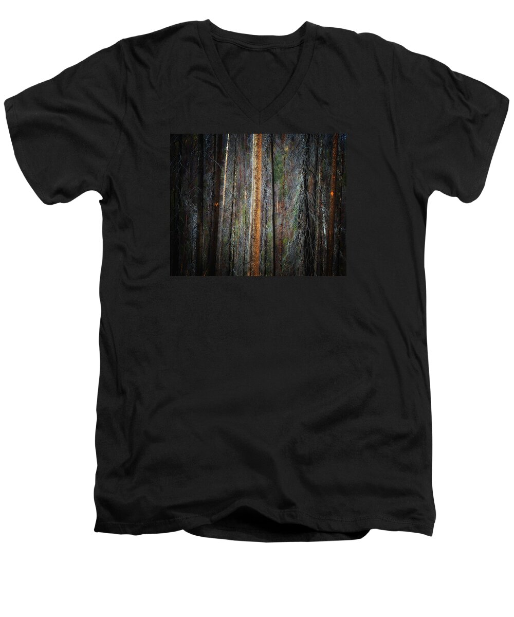 Abstract Men's V-Neck T-Shirt featuring the photograph After the Burn 3 by Newel Hunter