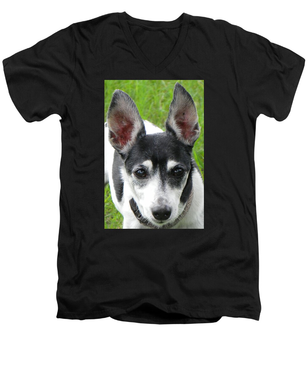 Dog Men's V-Neck T-Shirt featuring the photograph All Ears by Rosalie Scanlon