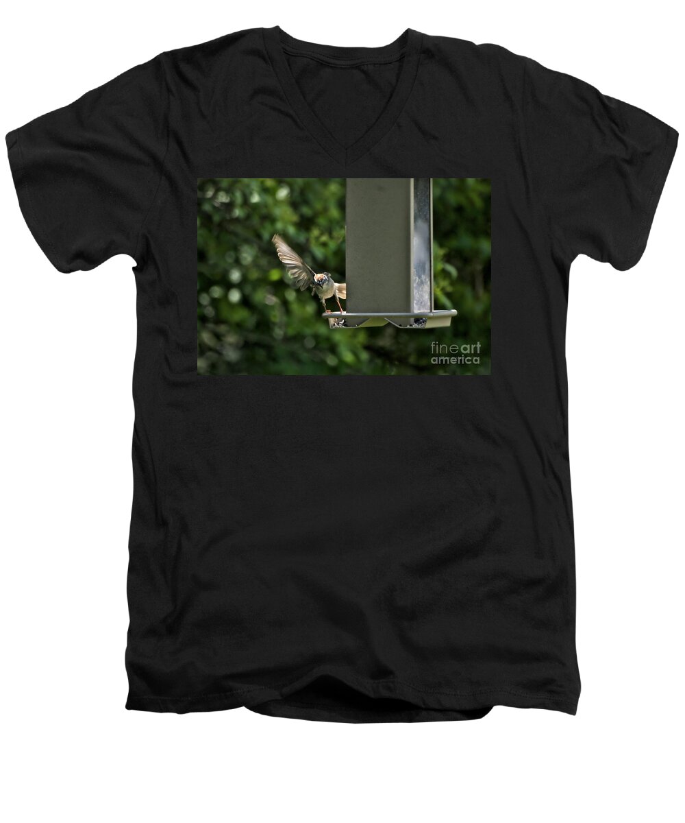 Animals Men's V-Neck T-Shirt featuring the photograph Almost A Ruff Bird Landing by Thomas Woolworth