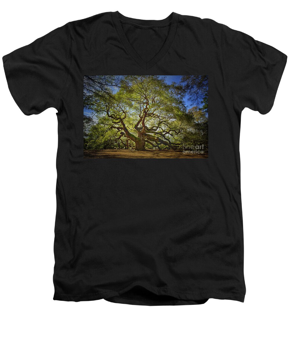 Angel Oak Men's V-Neck T-Shirt featuring the photograph Angel Oak by Carrie Cranwill