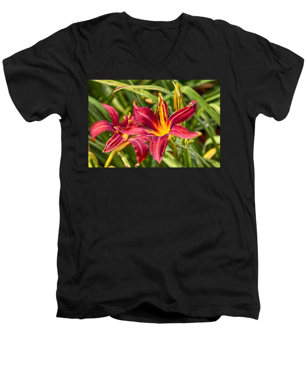 Atlanta Men's V-Neck T-Shirt featuring the photograph Atlanta Botanical Garden Flowers by Douglas Barnard