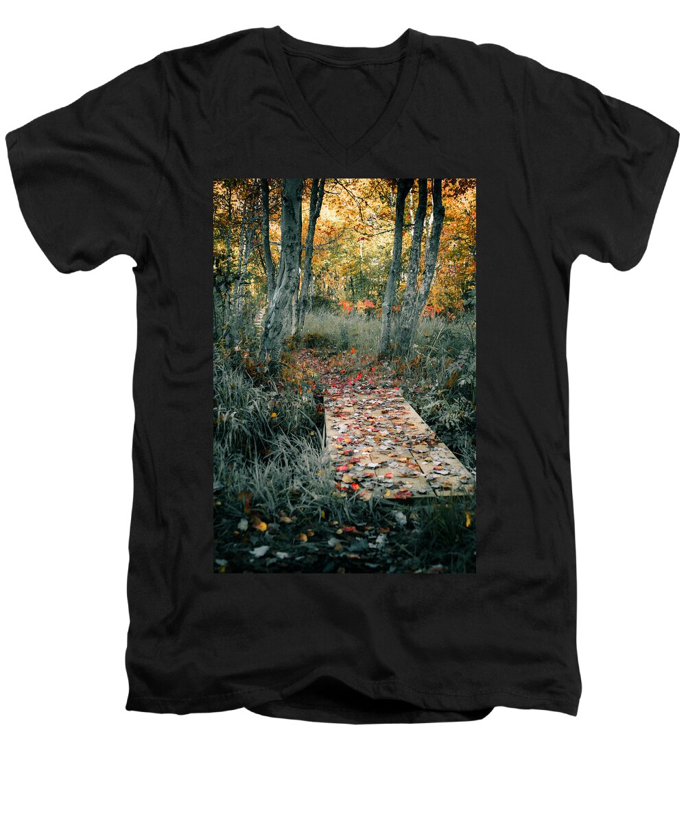 2014 Men's V-Neck T-Shirt featuring the photograph Autumn Footbridge by Brian Caldwell