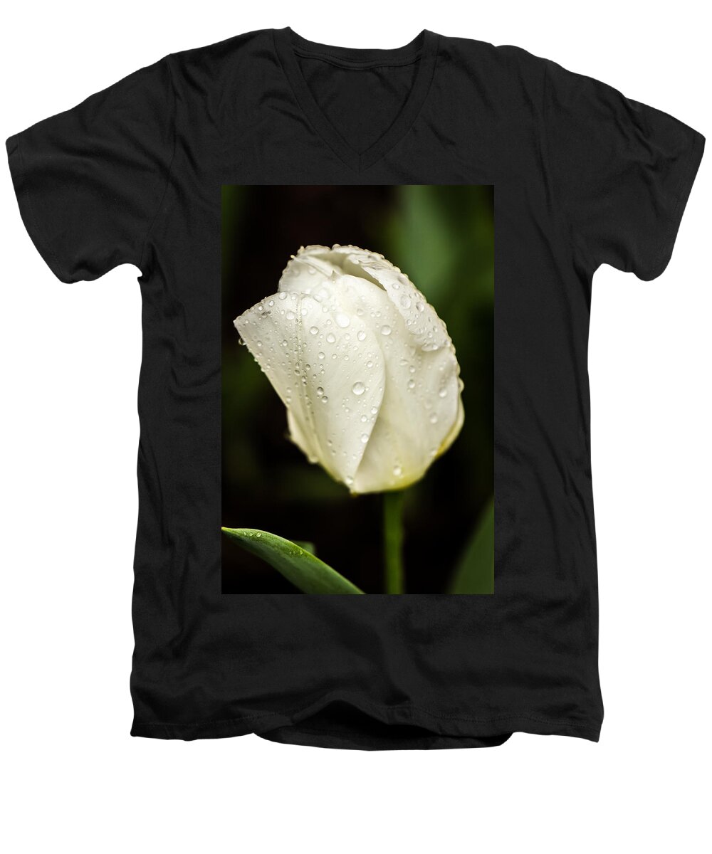 Tulips Men's V-Neck T-Shirt featuring the photograph Awakening by Sara Frank