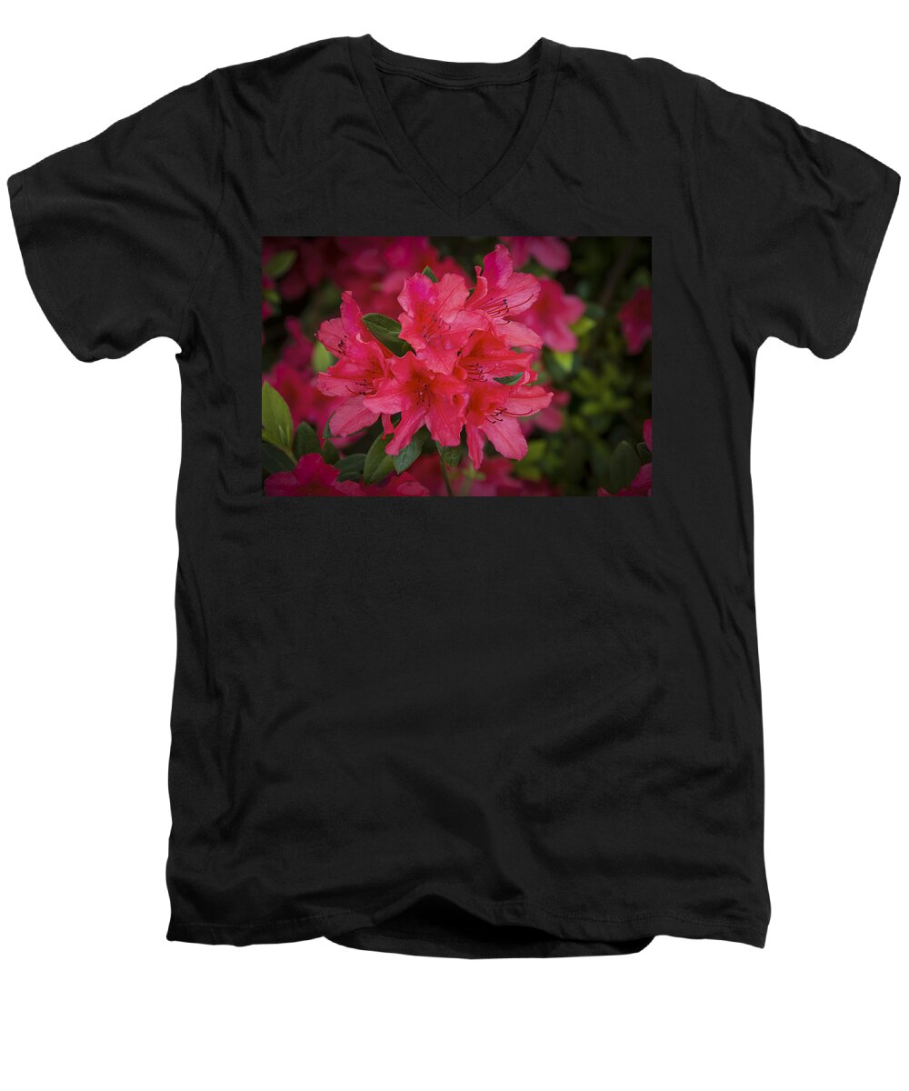 April Men's V-Neck T-Shirt featuring the photograph Azaleas 1 by Penny Lisowski