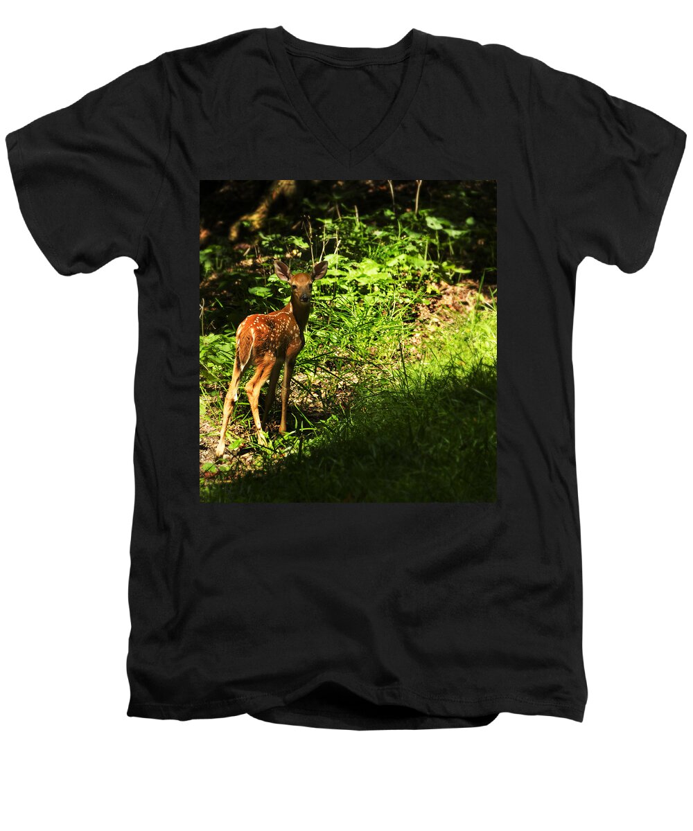 Deer Men's V-Neck T-Shirt featuring the photograph Bambi by Melissa Petrey