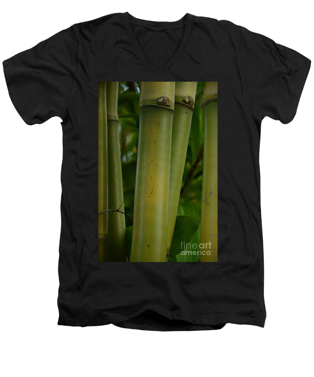 Bamboo Men's V-Neck T-Shirt featuring the photograph Bamboo II by Robert Meanor