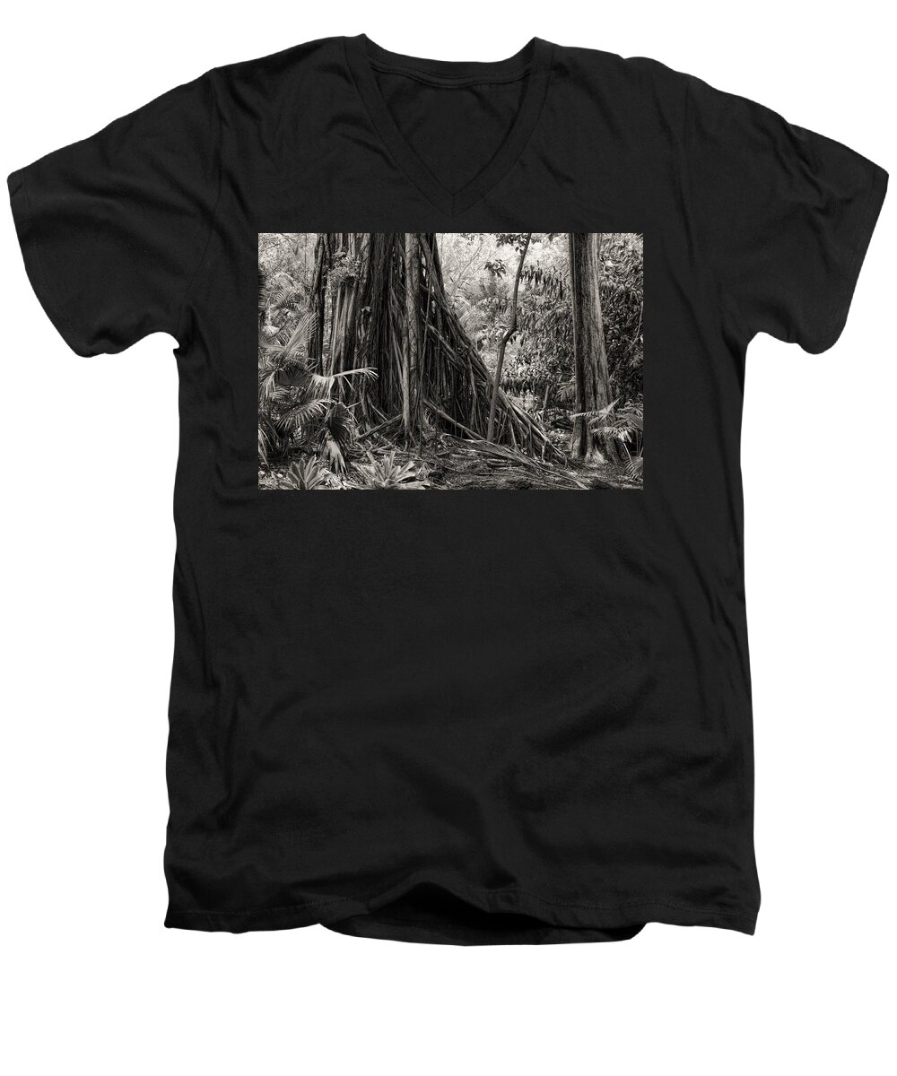 Tree Men's V-Neck T-Shirt featuring the photograph Strangler Fig and Cypress tree by Rudy Umans
