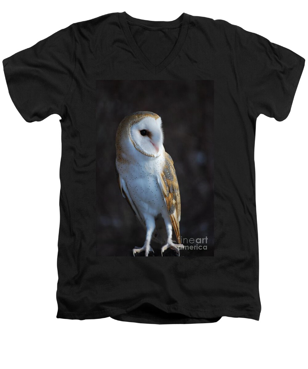 Barn Owl Men's V-Neck T-Shirt featuring the photograph Barn Owl by Sharon Elliott