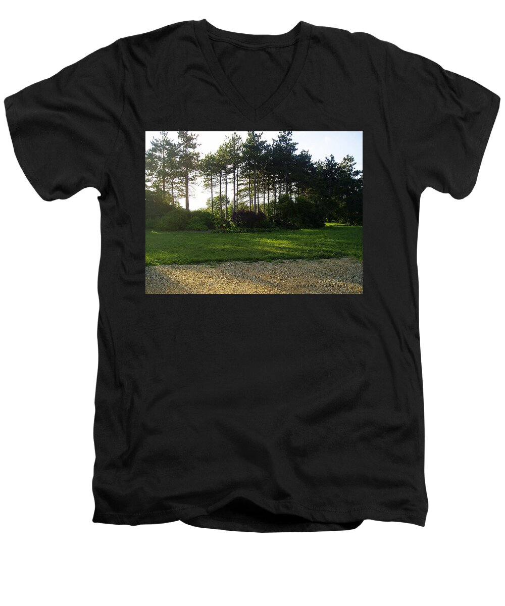 Landscape Men's V-Neck T-Shirt featuring the photograph Beautiful Earth by Verana Stark