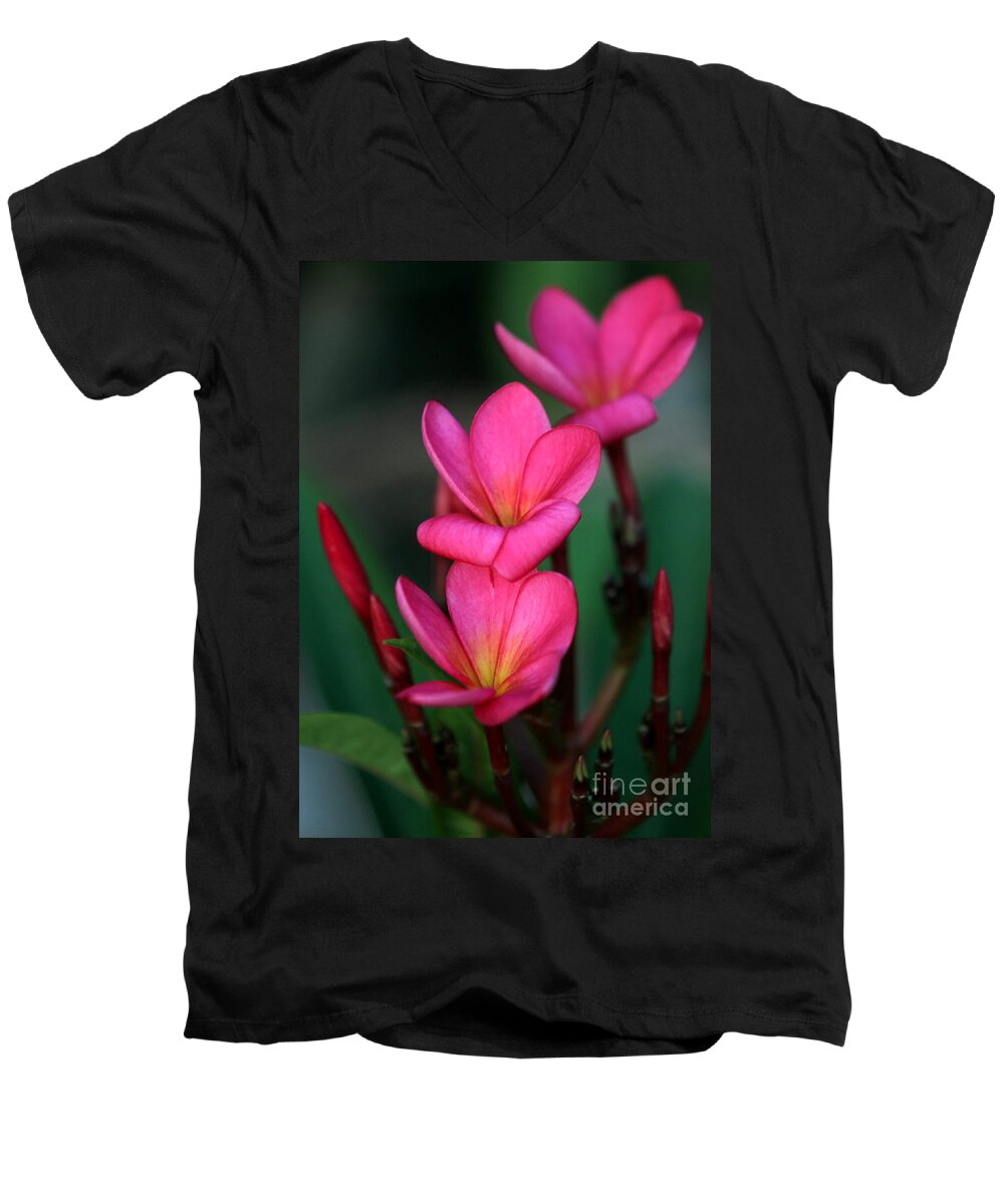  Men's V-Neck T-Shirt featuring the photograph Beautiful Red Plumeria by Sabrina L Ryan