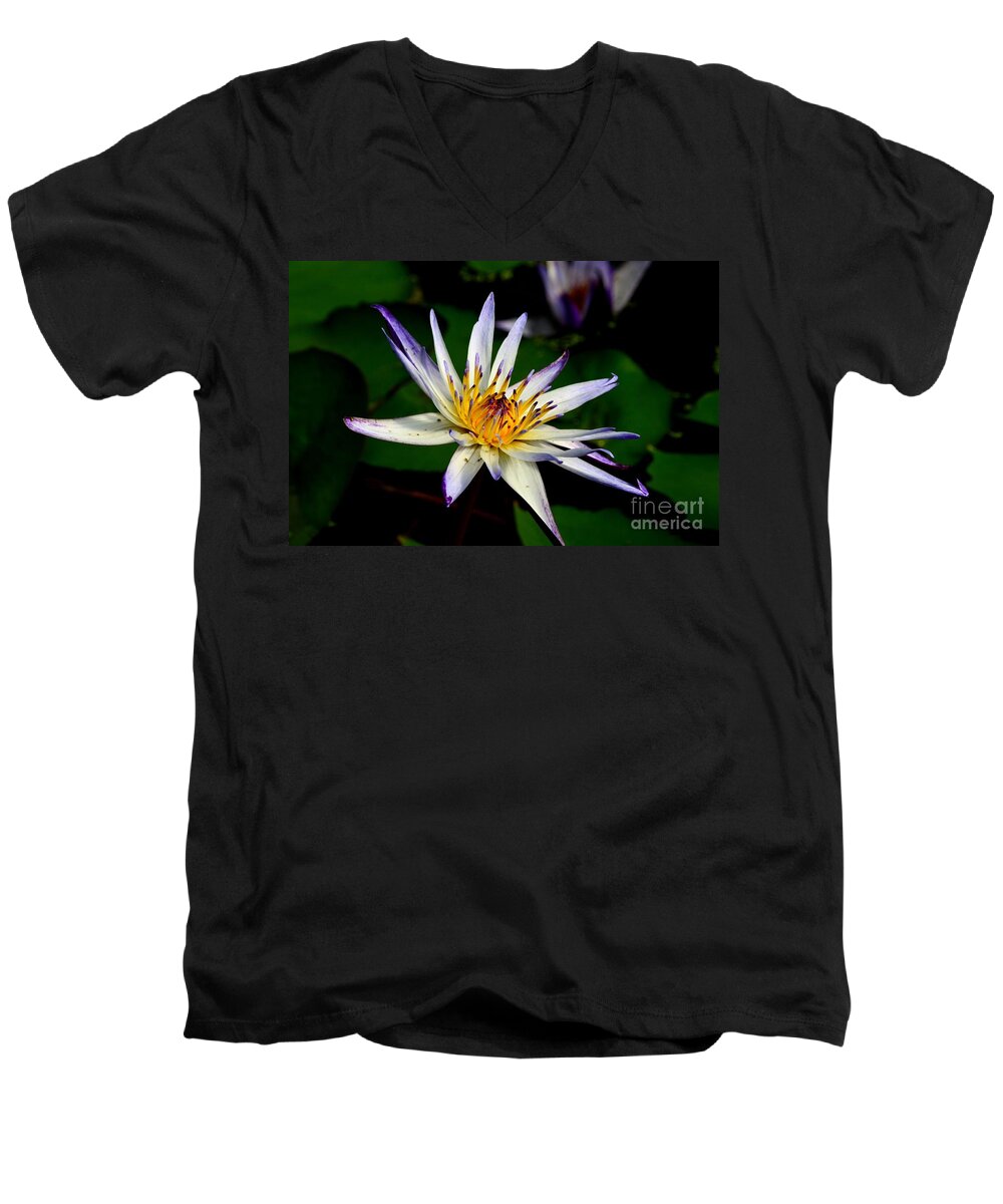 Lily Men's V-Neck T-Shirt featuring the photograph Beautiful violet white and yellow water lily flower by Imran Ahmed