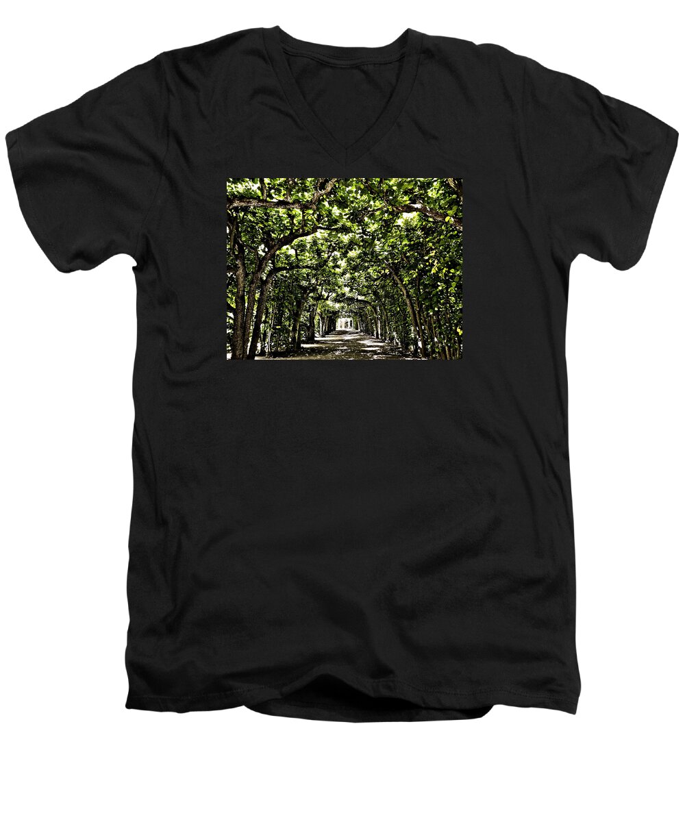 Europe Men's V-Neck T-Shirt featuring the photograph Believes ... by Juergen Weiss
