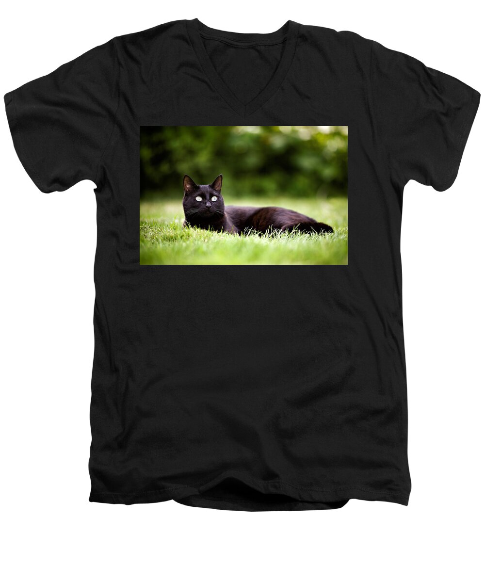 Cat Men's V-Neck T-Shirt featuring the photograph Black Cat Lying in Garden by Ian Good
