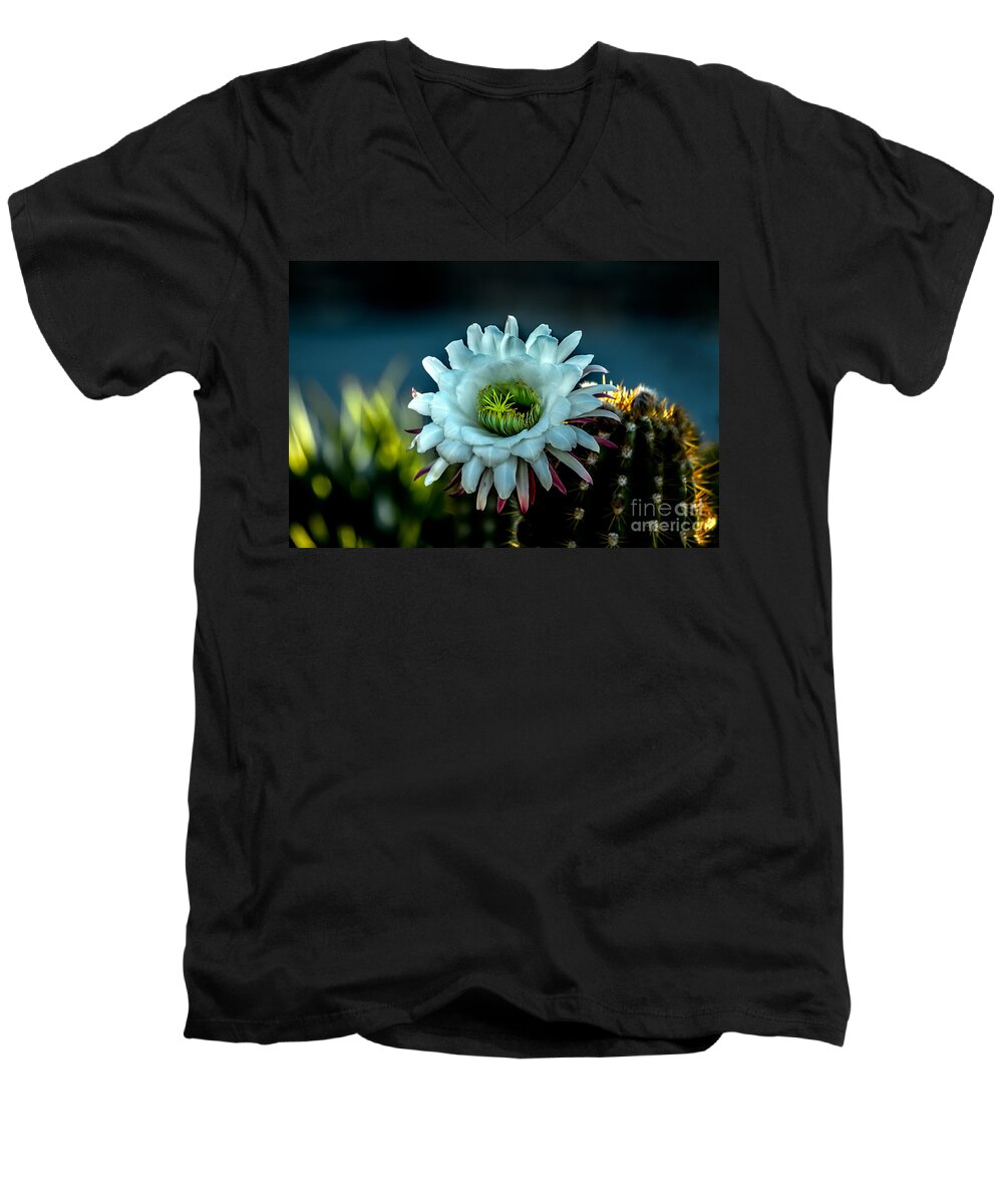 Argentine Giant Men's V-Neck T-Shirt featuring the photograph Blooming Argentine Giant by Robert Bales