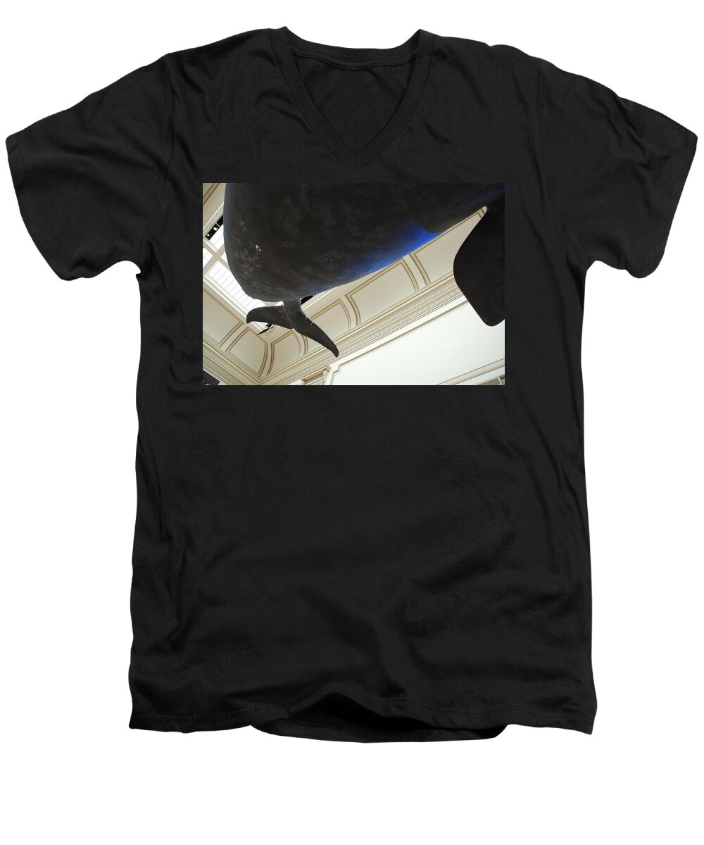 Blue Whale Men's V-Neck T-Shirt featuring the photograph Blue Whale Experience by Kenny Glover