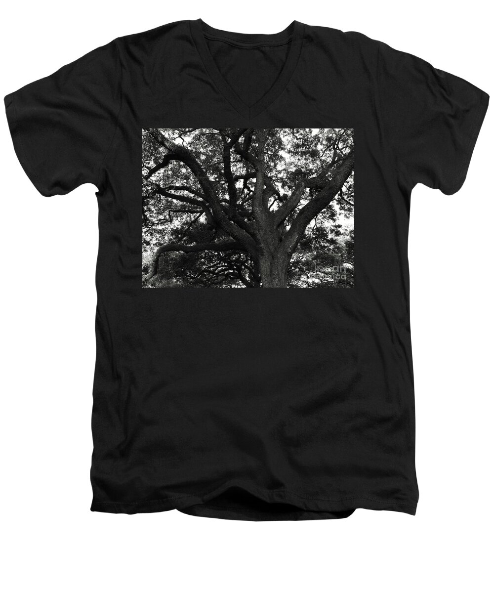 Season Men's V-Neck T-Shirt featuring the photograph Branches of life by Andrea Anderegg