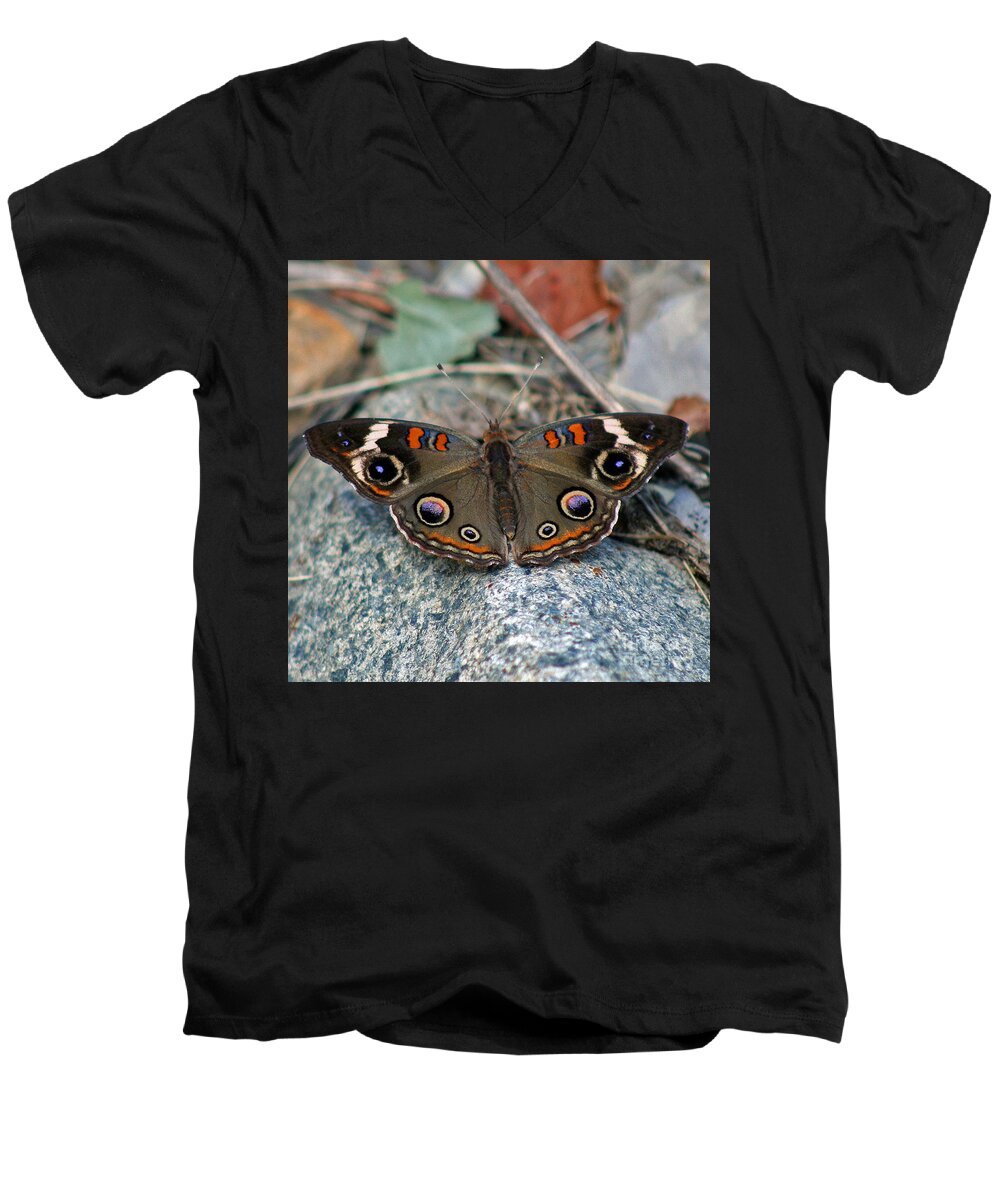 Buckeye Butterfly Men's V-Neck T-Shirt featuring the photograph Buckeye Butterfly on Rocks by Karen Adams