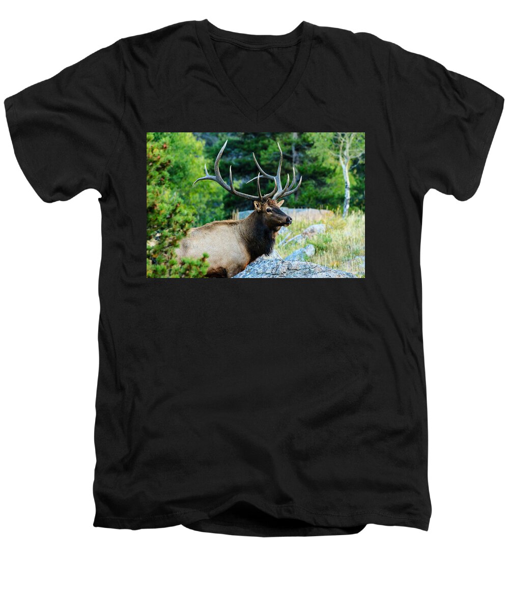 Elk Men's V-Neck T-Shirt featuring the photograph Bull Elk by Ben Graham