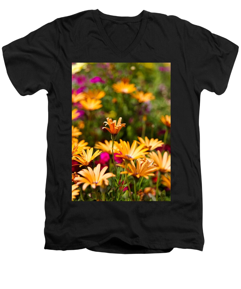 Mayflower Gulch Men's V-Neck T-Shirt featuring the photograph Bursting with Color by Ronda Kimbrow
