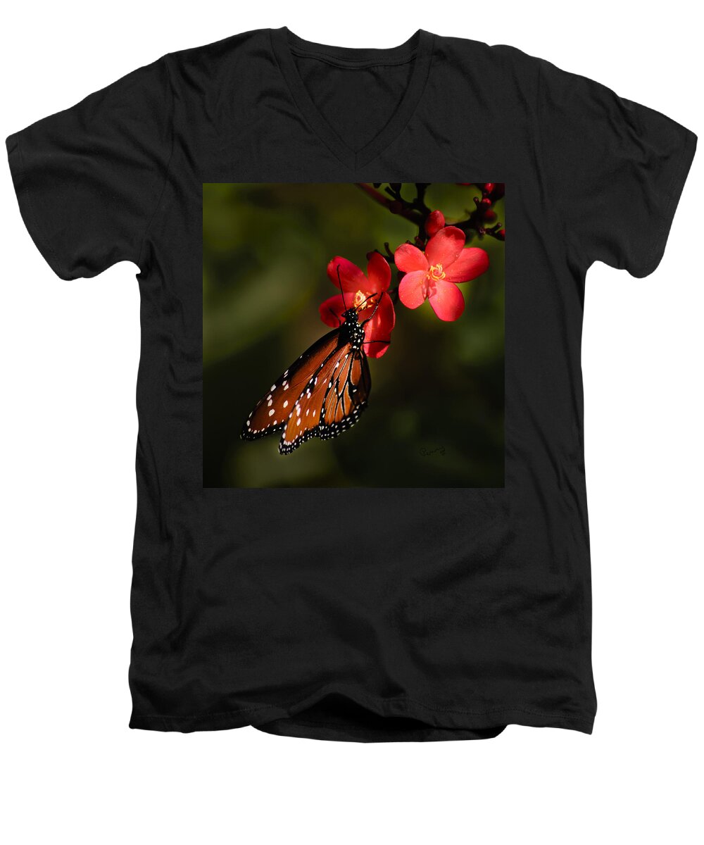 Butterfly Men's V-Neck T-Shirt featuring the photograph Butterfly on Red Blossom by Penny Lisowski
